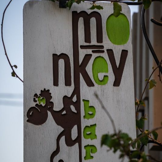 monkey bar